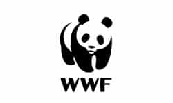World Wildlife fund logo