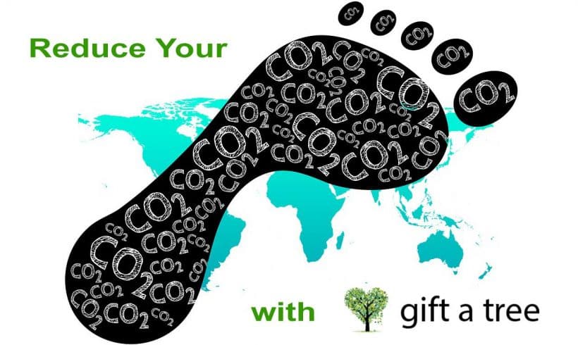 Offset Your CO2 Emissions & Reduce Your Carbon Footprint