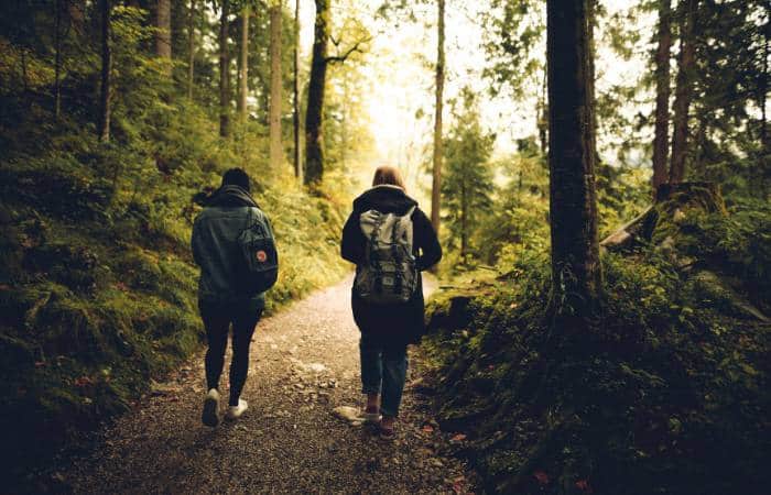 People walking through woodland surrounded by trees and nature