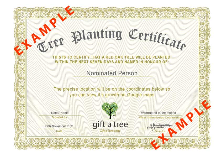 Plant a Tree Certificate