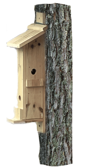 Bird box hotel