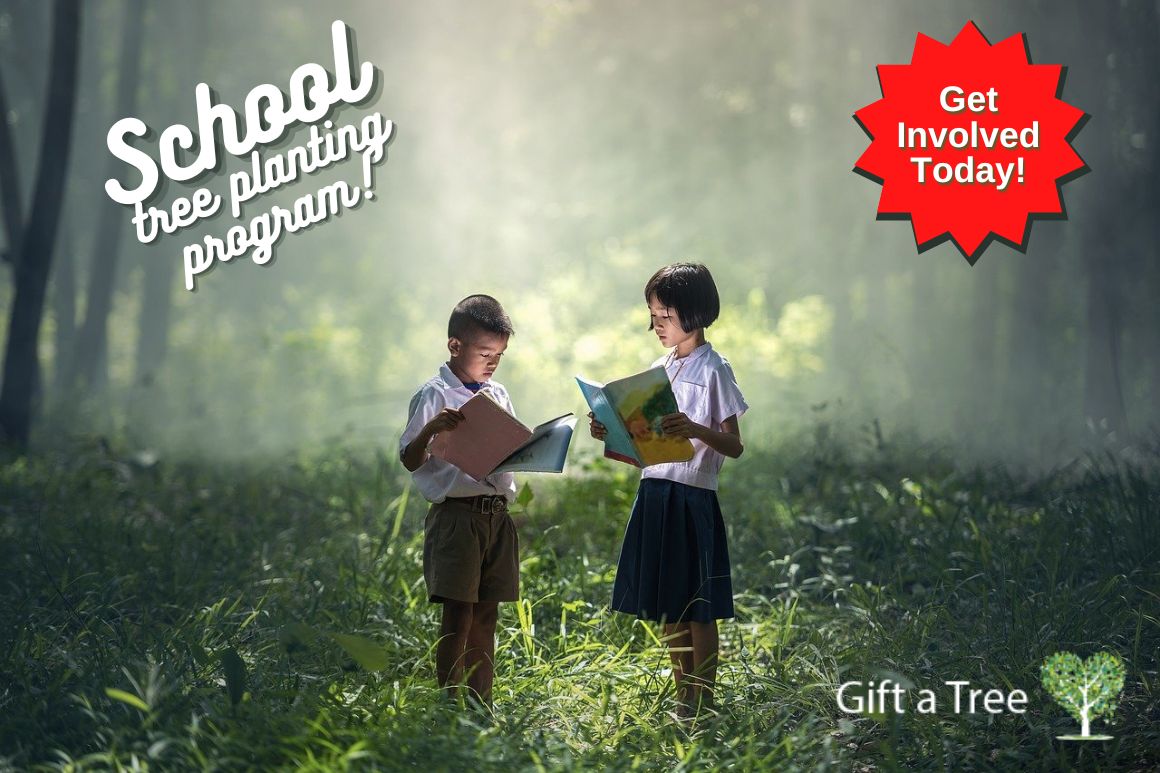 Join Our School Tree Planting Program