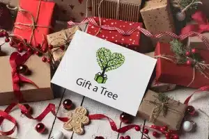 Tree gift for Christmas