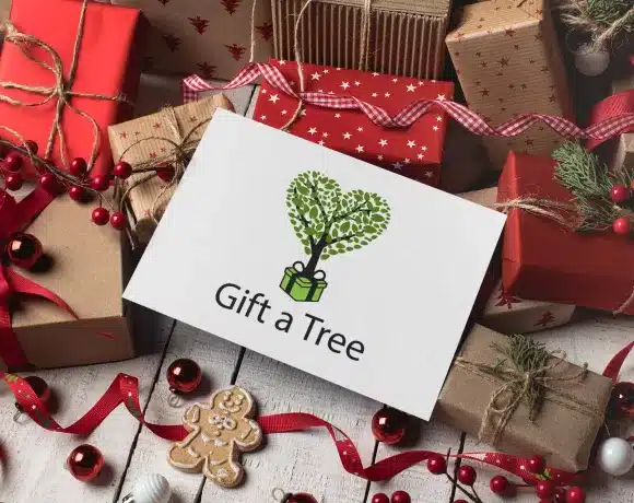 Eco-Friendly Christmas Gifts