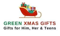 Environmentally friendly Christmas gift