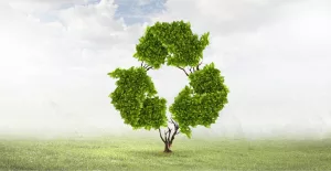Writing a corporate green policy
