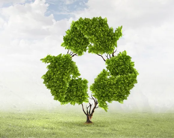How to Create a Green Policy