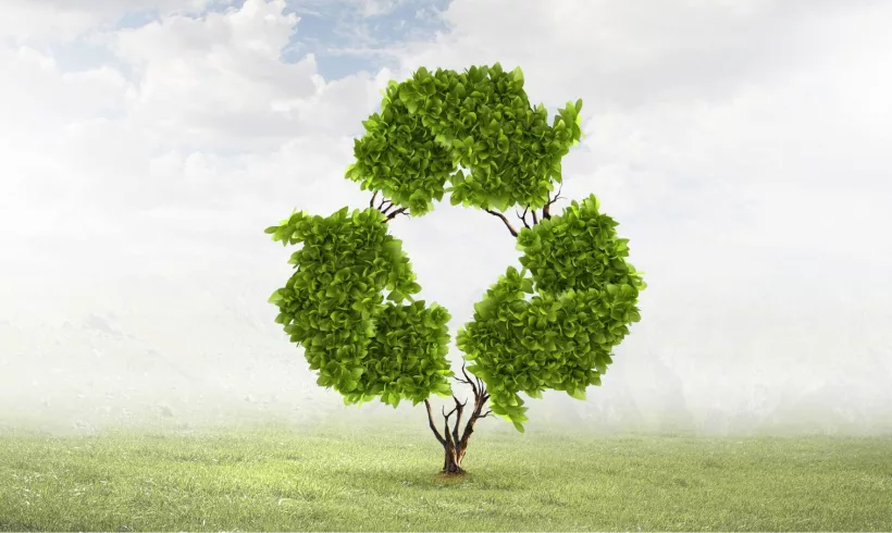 How to Create a Green Policy
