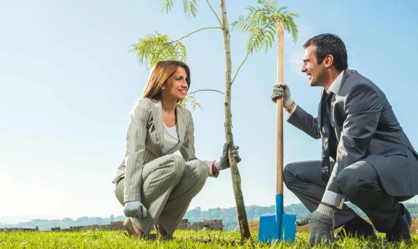 Tree Planting Benefits
