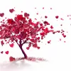 Eco-Friendly Valentine Gifts