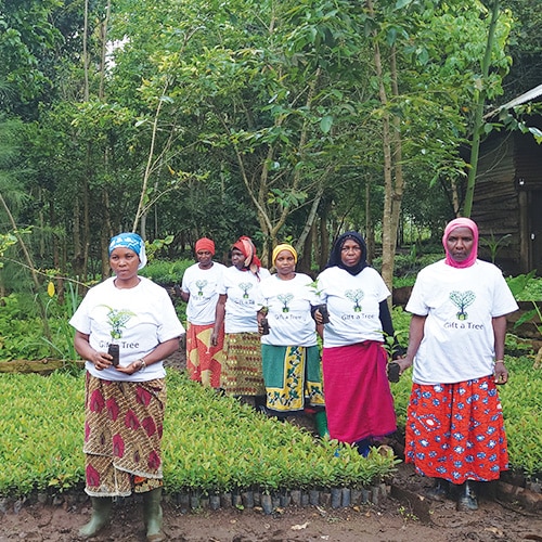 Community tree planters in Tanzania holding young saplings in a nursery area after planting 25 trees for Gift a Tree.