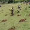 Men planting trees