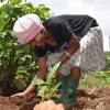 Planting trees in Tanzania