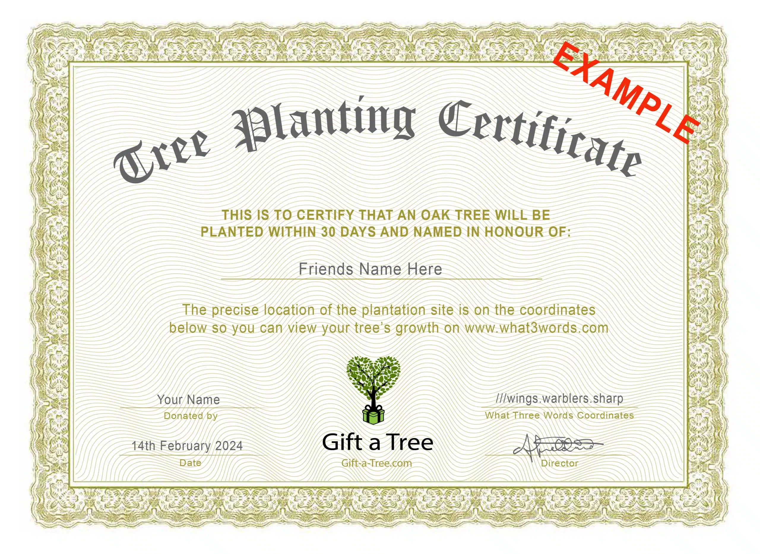 Tree Gift Certification