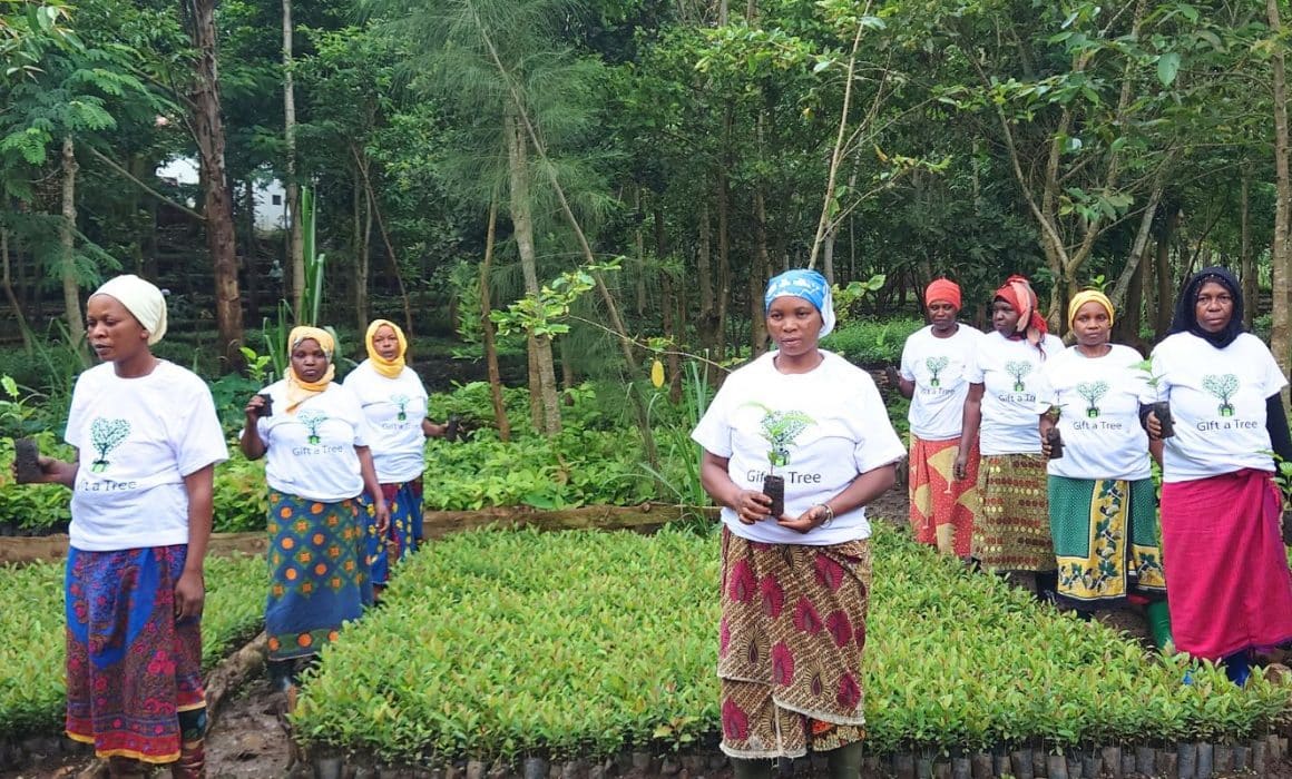 Local tree planting team in Tanzania holding young saplings in a forest nursery for Gift a Tree environmental project