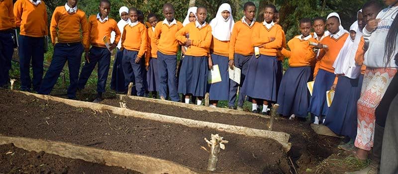 School children learning about tree planting and sustainable agriculture during an outdoor environmental lesson.