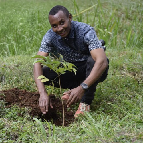 Man planting a young tree in grassland as part of a reforestation project in Tanzania