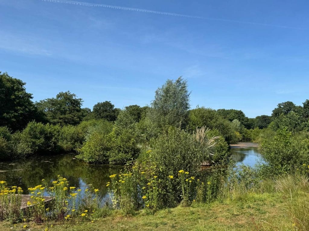 Trees, water and natural habitat creating a healthier landscape