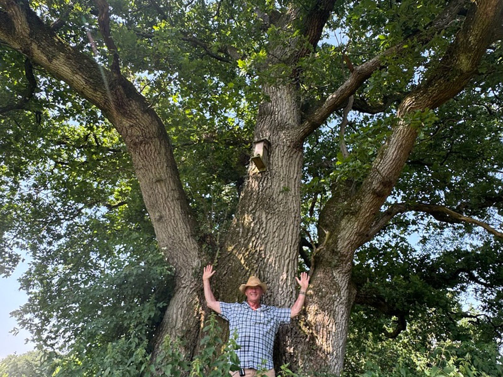 Andy Fields beneath the 500-year-old English oak at Bradford Farm in Devon