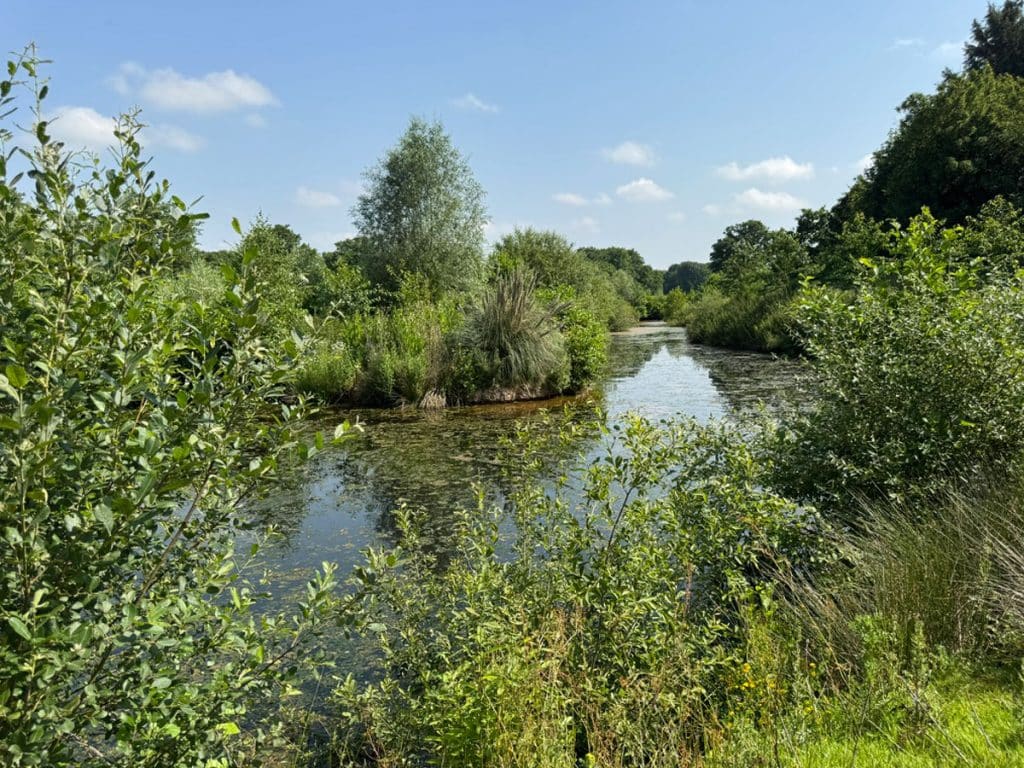 Established wildlife pond surrounded by natural vegetation at Gift a Tree