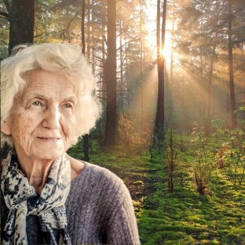 Older woman in a peaceful woodland at sunrise symbolising legacy giving, remembrance and hope for future generations